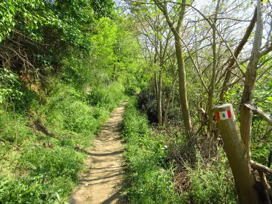 Dettaglio del percorso