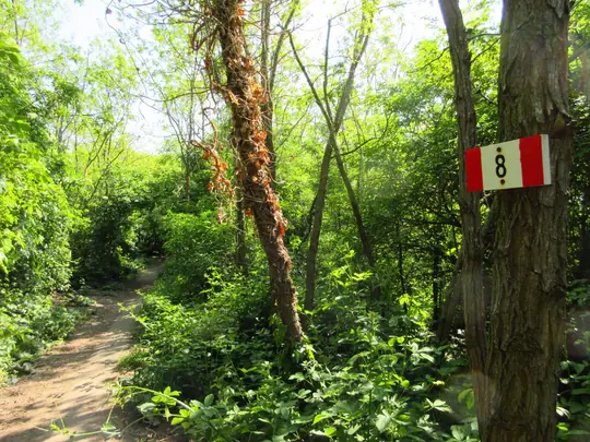 Dettaglio del percorso