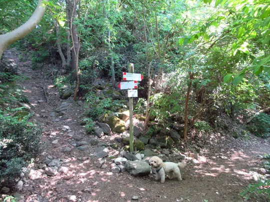 Proseguire a sinistra verso i ruderi del castello