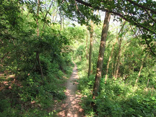 Dettaglio del percorso