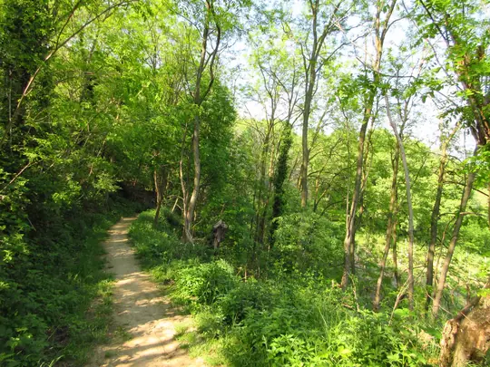 Dettaglio del percorso