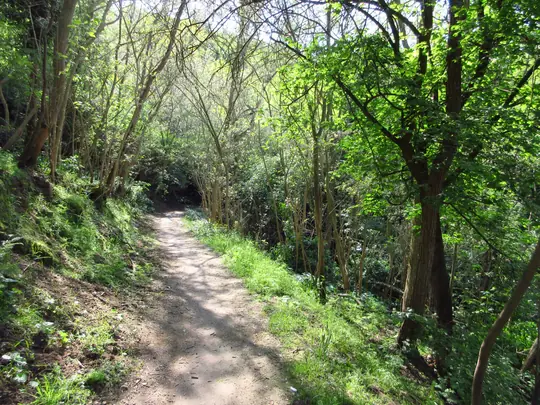 Dettaglio del percorso