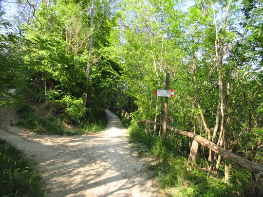 Incrocio con il sentiero nr.8A