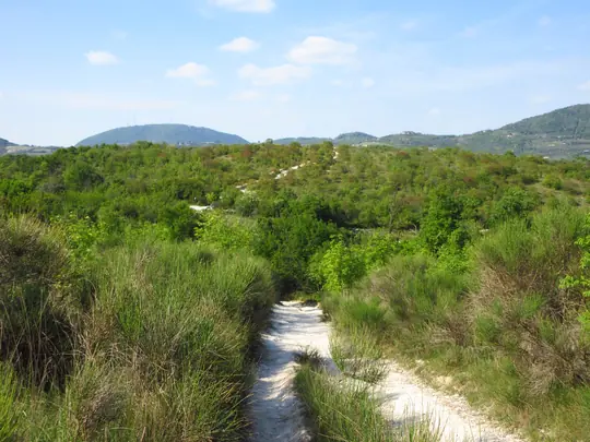 Dettaglio del percorso