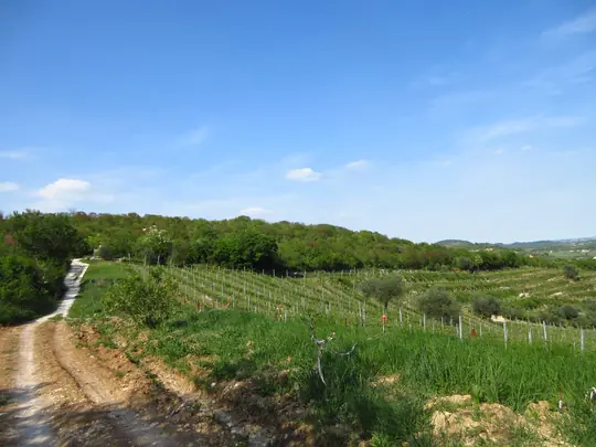 Dettaglio del percorso