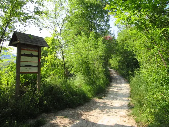 Dettaglio del percorso