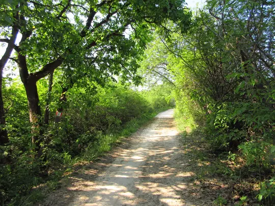 Dettaglio del percorso