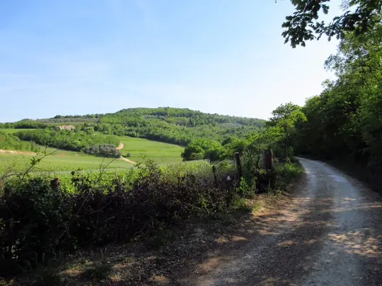 Dettaglio del percorso