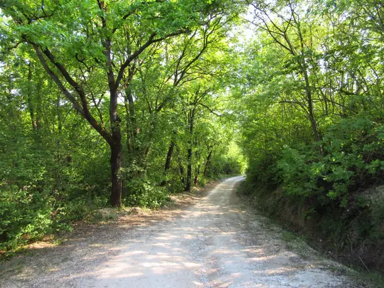 Dettaglio del percorso