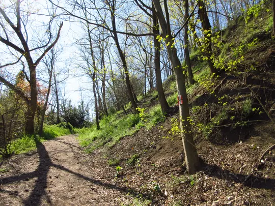 Dettaglio del percorso