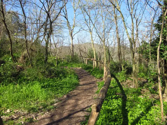 Dettaglio del percorso