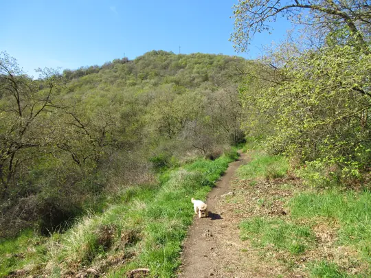 Verso il Monte Spinefrasse
