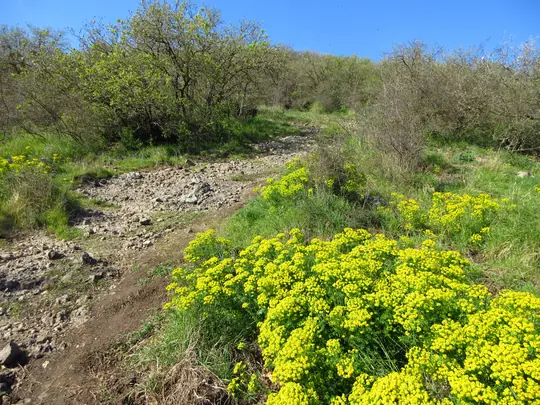 Verso il Monte Spinefrasse