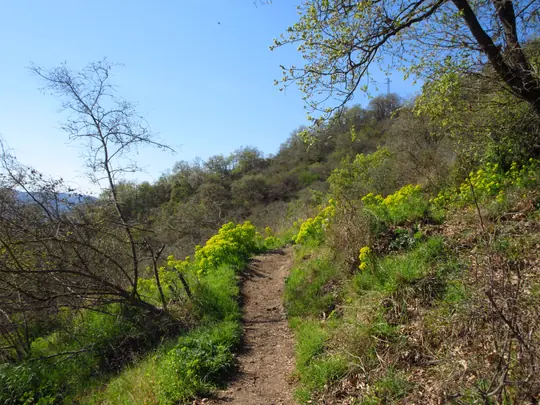 Verso il Monte Spinefrasse