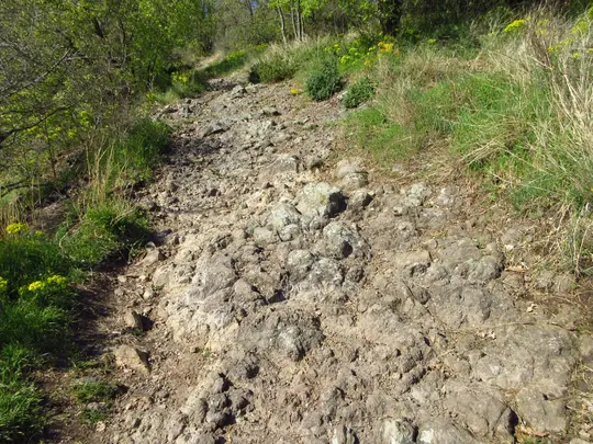 Dettaglio del sentiero roccioso