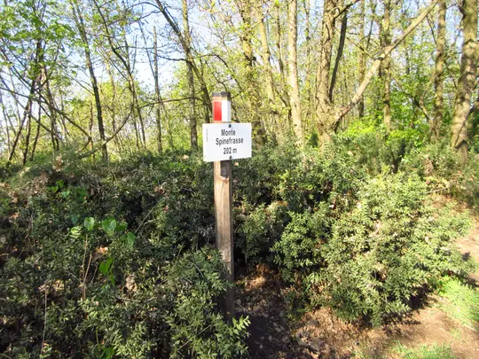Monte Spinefrasse
