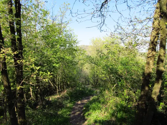 Verso il Monte Gnocozzo