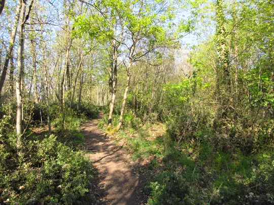 Dettaglio del percorso