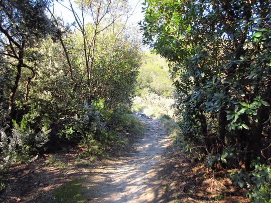 Dettaglio del percorso