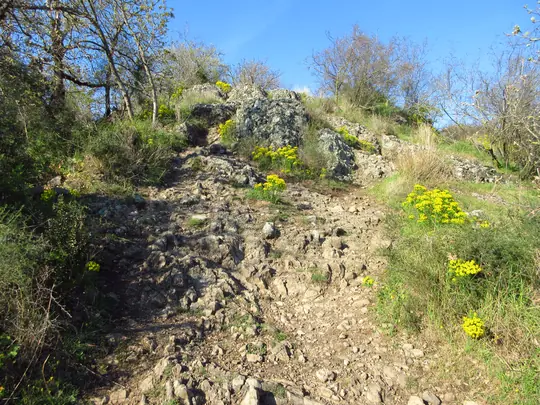 Dettaglio del percorso