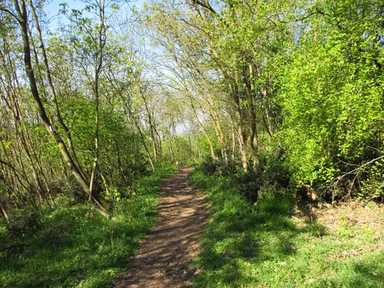 Dettaglio del percorso