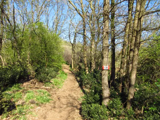 Dettaglio del percorso