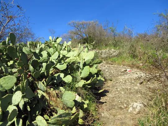Verso la cima del Monte Ceva