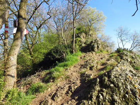 Dettaglio del percorso