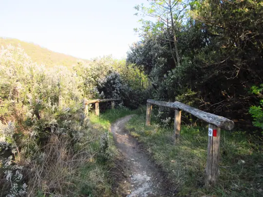 Dettaglio del percorso