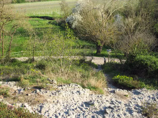 Verso la fine del sentiero