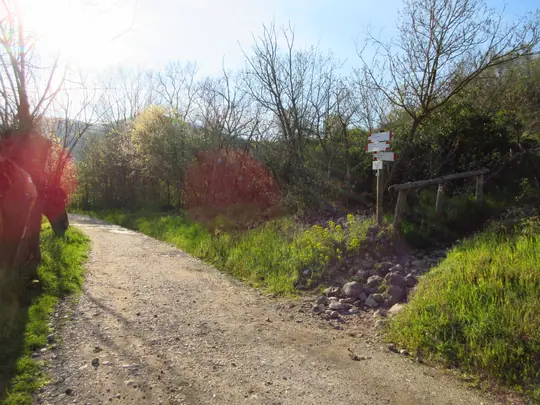 Dettaglio della strada verso Battaglia Terme