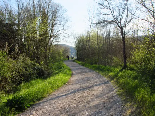 Dettaglio della strada verso Battaglia Terme
