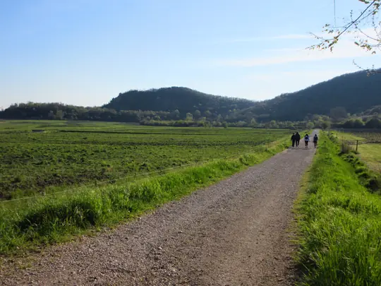 Dettaglio della strada verso Battaglia Terme
