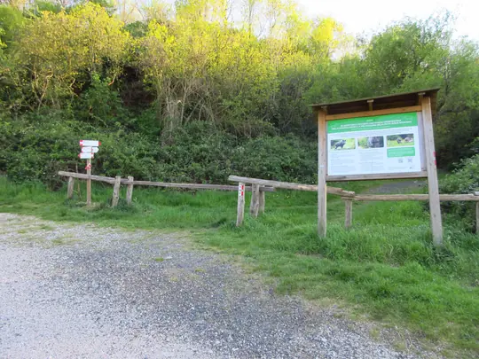 Uscita dalla strada sul sentiero nr.15