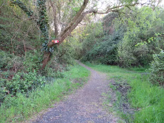 Dettaglio del sentiero nr.15