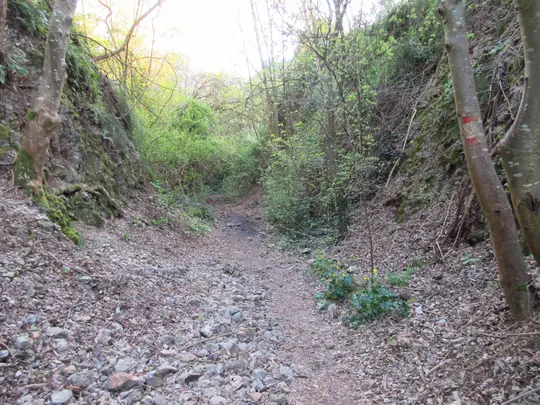 Dettaglio del sentiero nr.15