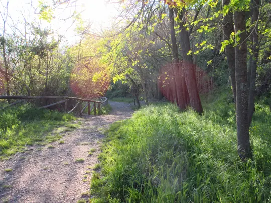 Dettaglio del percorso verso il parcheggio
