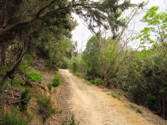 Dettaglio del percorso