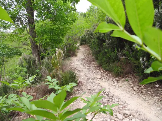 Dettaglio del percorso