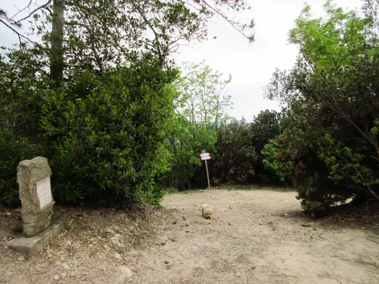 Incrocio, proseguire a sinistra