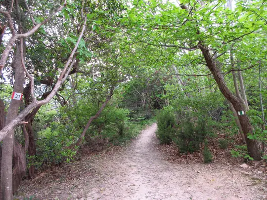 Dettaglio del percorso