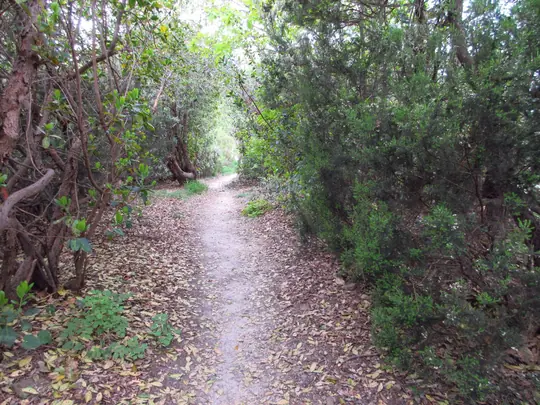 Dettaglio del percorso