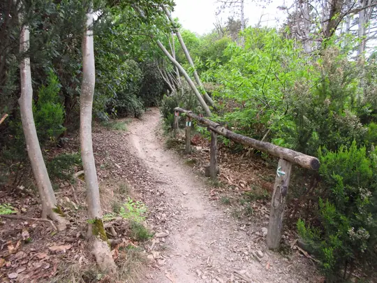 Dettaglio del percorso