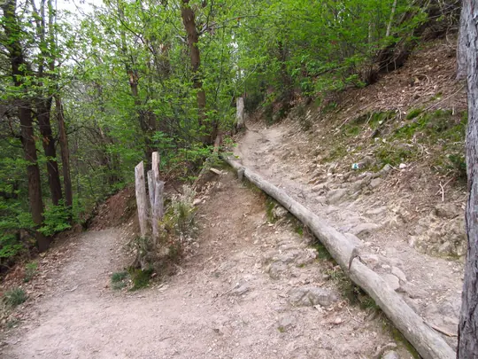 Dettaglio di un tornante