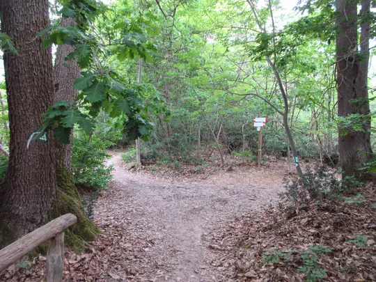 Incrocio, proseguire a sinistra