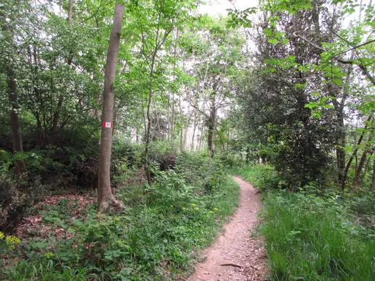 Dettaglio del percorso