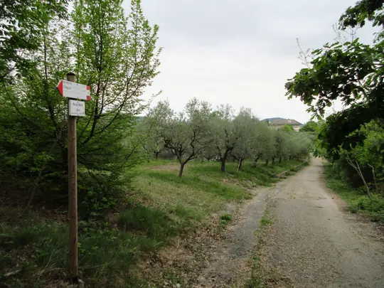 Verso il Piccolo Marte