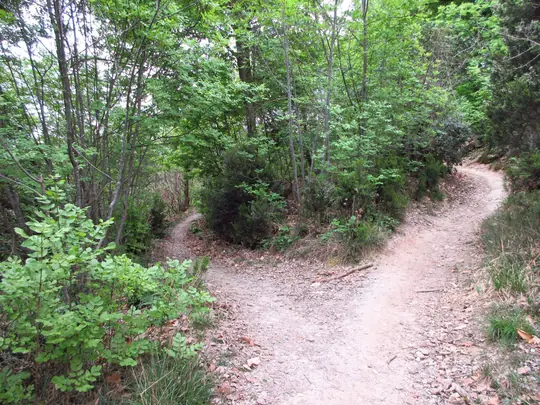 Incrocio, proseguire a sinistra