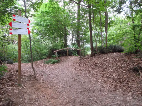 Incrocio con il sentiero di andata