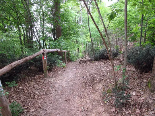 Dettaglio del percorso